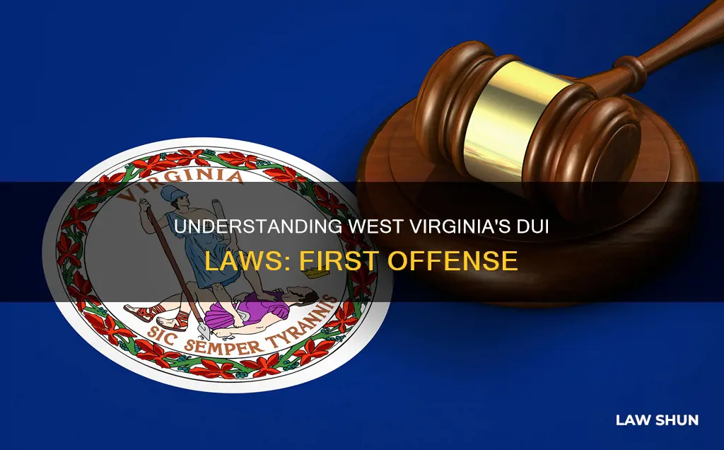 what is the law in wv for first time dui