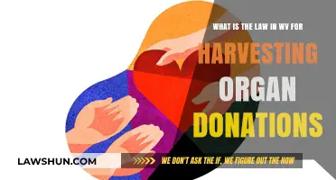 WV Organ Donation Laws: Understanding Harvesting Regulations and Consent
