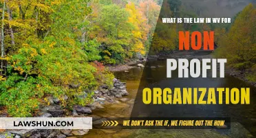 Understanding West Virginia's Nonprofit Laws: A Comprehensive Legal Guide