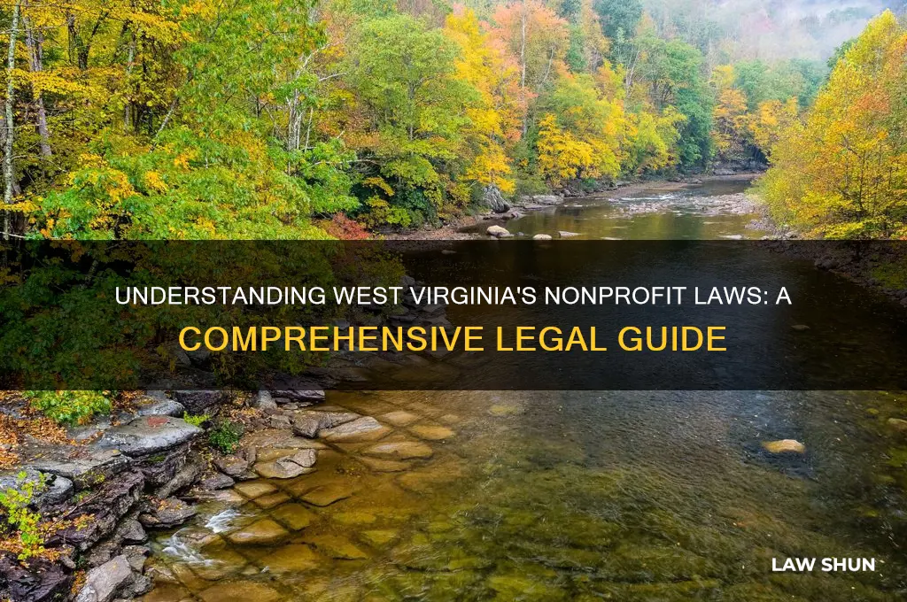 what is the law in wv for non profit organization