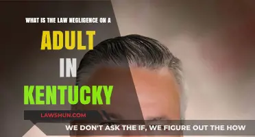 Understanding Adult Negligence Law in Kentucky: Key Principles Explained
