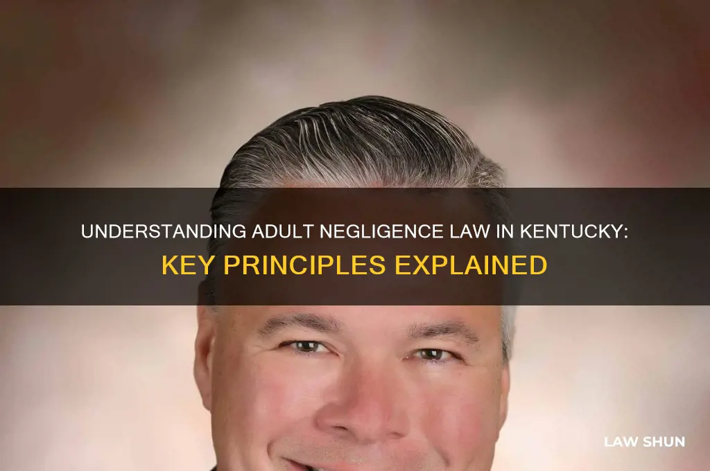what is the law negligence on a adult in kentucky