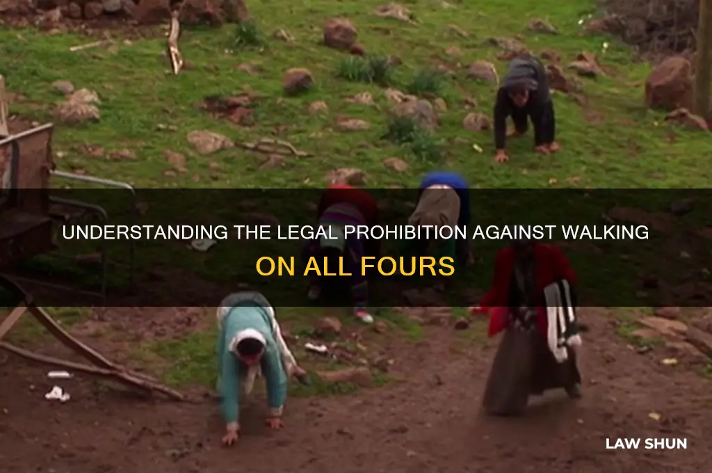 what is the law not to walk on all fours