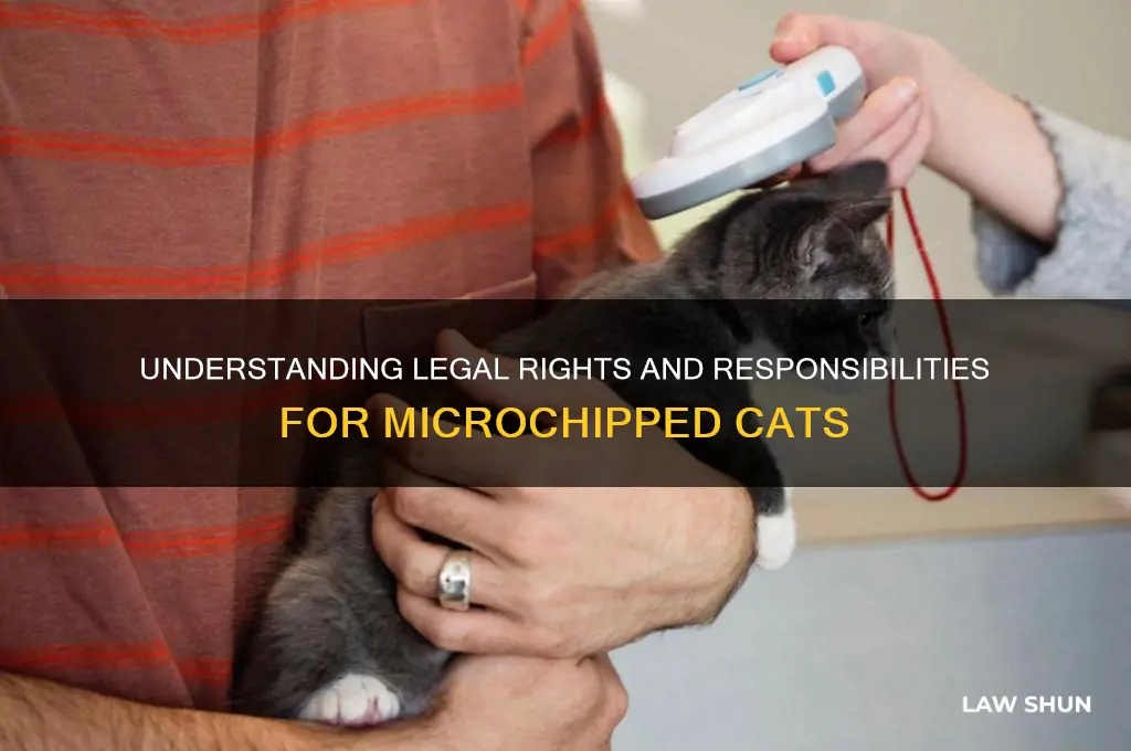what is the law of a cat who is chipped