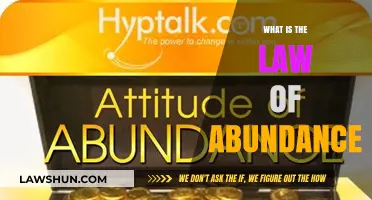 Unlocking Prosperity: Understanding the Law of Abundance