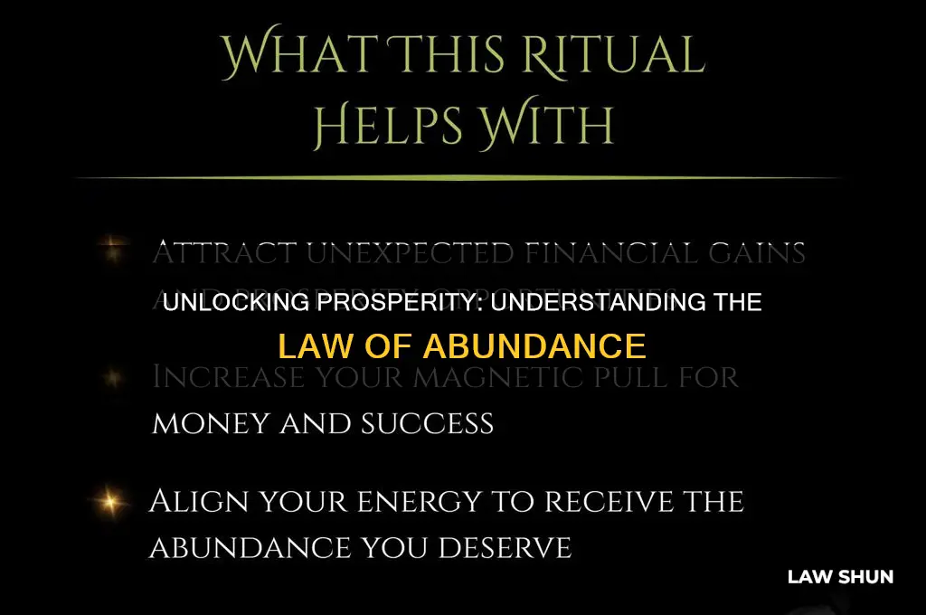 what is the law of abundance