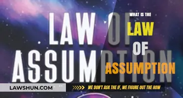Exploring the Law of Assumption: A Guide to Understanding Its Impact