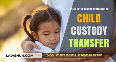 Understanding the Law of Avoidance in Child Custody Transfers