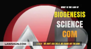 Understanding the Law of Biogenesis: Science Behind Life's Origins Explained