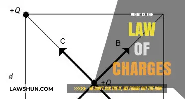 Exploring the Fundamentals: What is the Law of Charges?