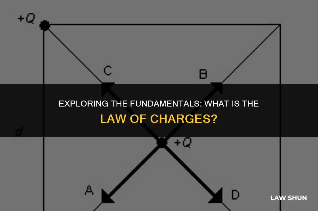 what is the law of charges