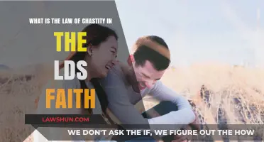 Understanding the LDS Law of Chastity: Principles and Practices Explained