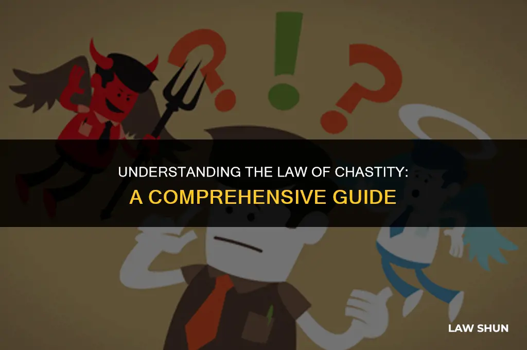what is the law of chastity