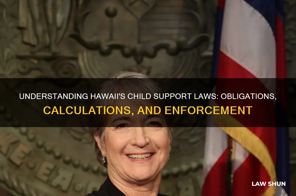 what is the law of child support hawaii