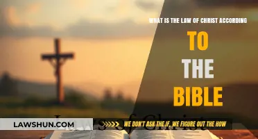 Understanding the Law of Christ: Biblical Principles for Believers