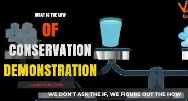 Understanding the Law of Conservation: A Practical Demonstration Explained