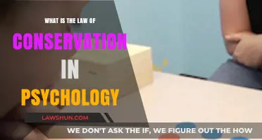 Understanding the Law of Conservation in Psychology: Principles and Applications