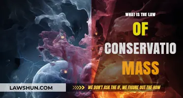 Understanding the Law of Conservation of Mass: A Fundamental Principle