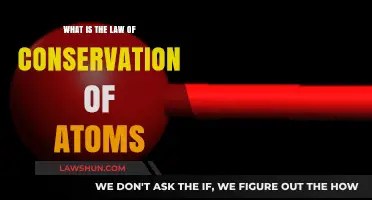 Understanding the Law of Conservation of Atoms: A Fundamental Principle