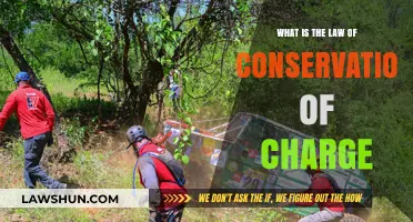 Understanding the Law of Conservation of Charge: A Fundamental Principle