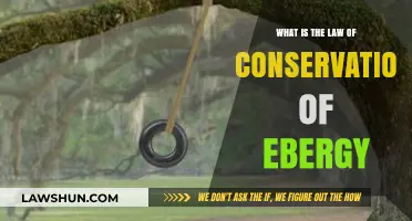 Understanding the Law of Conservation of Energy: Principles and Applications