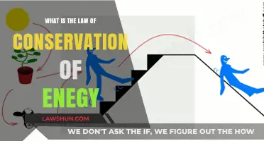 Understanding the Law of Conservation of Energy: A Fundamental Principle