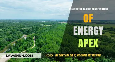 Understanding the Law of Conservation of Energy: Apex Explained