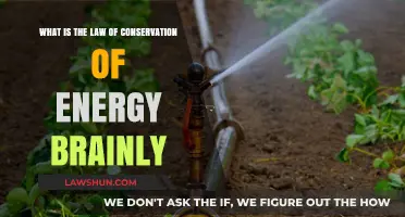 Understanding the Law of Conservation of Energy: Brainly Explained