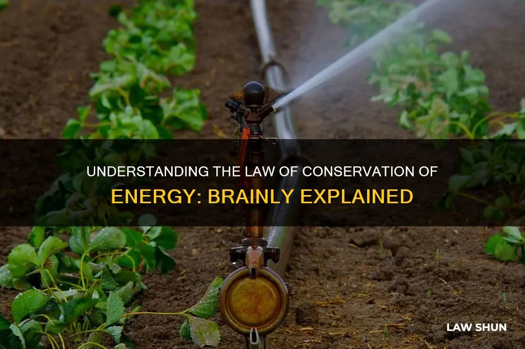 what is the law of conservation of energy brainly