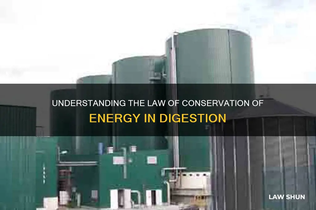 what is the law of conservation of energy digestion
