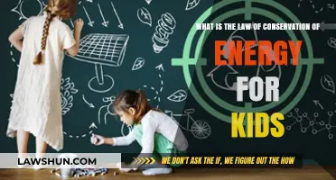 Energy Never Disappears: Understanding Conservation of Energy for Kids