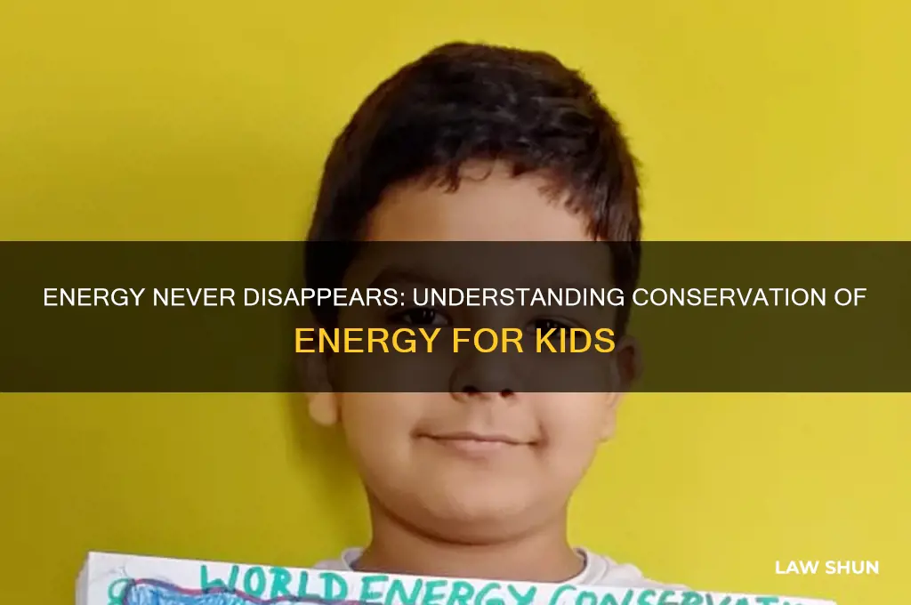 what is the law of conservation of energy for kids