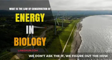 Understanding Biology's Energy Conservation Law: Principles and Applications