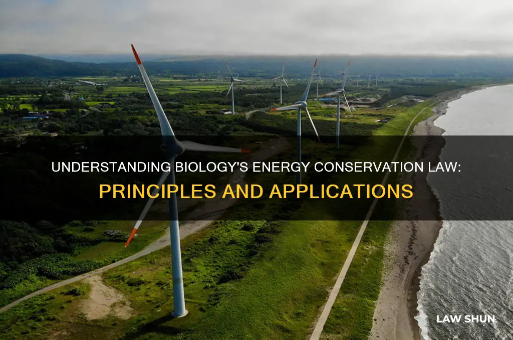 what is the law of conservation of energy in biology