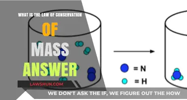 Understanding the Law of Conservation of Mass: A Comprehensive Explanation