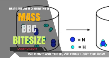 Understanding the Law of Conservation of Mass: BBC Bitesize Explained