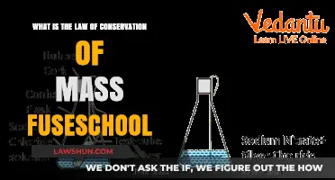 Understanding the Law of Conservation of Mass: FuseSchool Explained