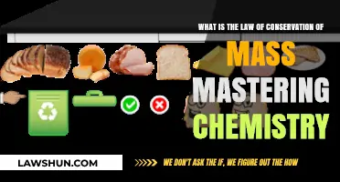 Understanding the Law of Conservation of Mass in Chemistry