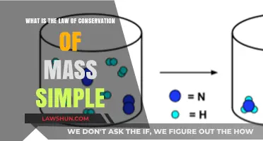 Understanding the Law of Conservation of Mass: A Simple Explanation