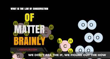 Understanding the Law of Conservation of Matter: Brainly Explained