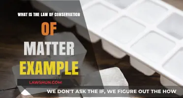 Understanding the Law of Conservation of Matter: Real-World Examples Explained
