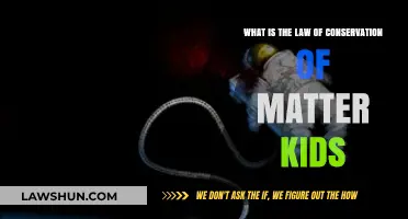 Exploring the Law of Conservation of Matter for Kids