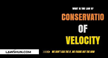 Understanding the Law of Conservation of Velocity: Principles and Applications