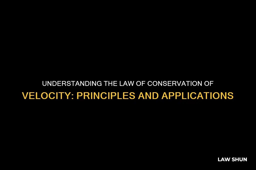 what is the law of conservation of velocity