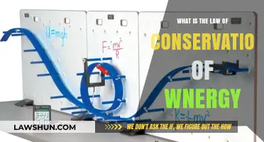 Understanding the Law of Conservation of Energy: Principles and Applications