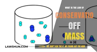 Understanding the Law of Conservation of Mass: Science Explained