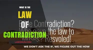 Exploring the Law of Contradiction: A Philosophical Deep Dive