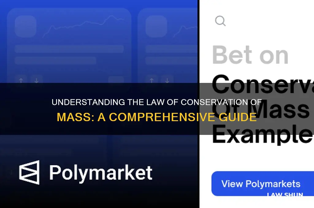 what is the law of convertion of mass 10 paragraphs