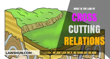 Understanding the Law of Cross-Cutting Relations in Geology
