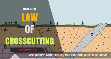 Understanding the Law of Crosscutting: A Guide to Relative Dating